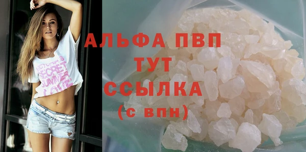 гидра Гатчина