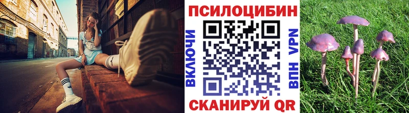 Галлюциногенные грибы мицелий  Ртищево 