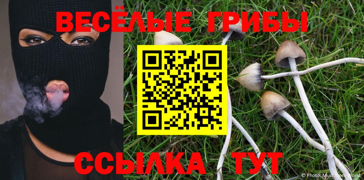 Галлюциногенные грибы Cubensis  Вход с VPN  Ртищево 