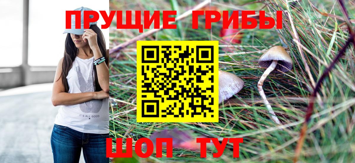 A PVP  ГЕРОИН  НБОМе  Магазин наркотиков  COCAIN  Марихуана  Мефедрон  Бошки Шишки  Ртищево  МЕФ  Марки ЛСД  Вход с VPN  Плюхи 